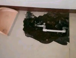 攀枝花卫生间测漏水多少钱
